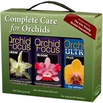 Growth Technology Orchid Focus Gift Pack 3x 100 ml