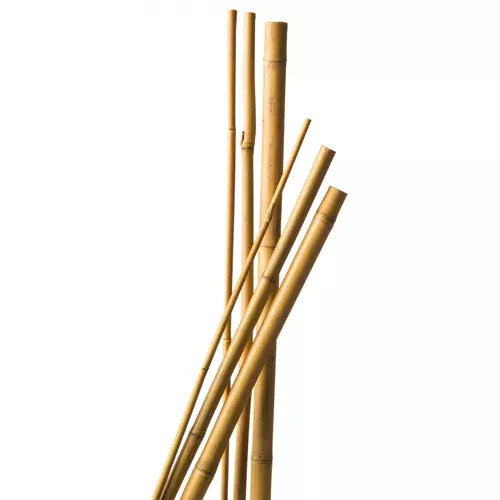 Bambusz Növénytámsztó Karó