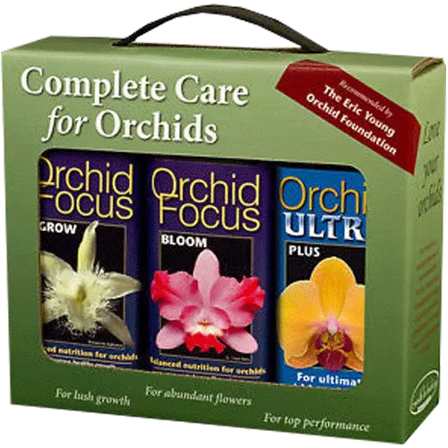 Growth Technology Orchid Focus Gift Pack 3x 300 ml