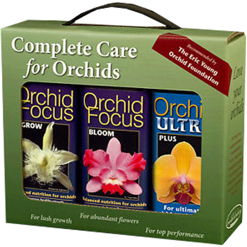 Growth Technology Orchid Focus Gift Pack 3x 100 ml